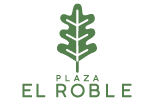 Plaza el Roble
